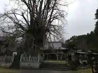 本國寺の本殿・本堂