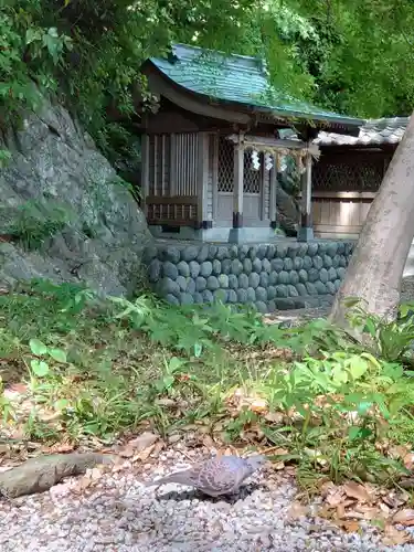 事任八幡宮の動物