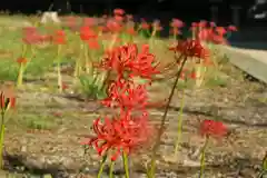 若宮八幡宮(京都府)