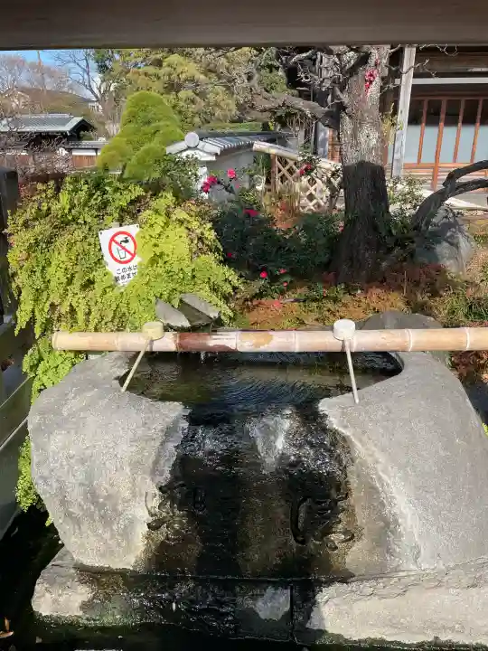 妙蓮寺の{uncategorized: "未分類", other: "その他", undefined: "問題あり", building: "その他建物", grave: "お墓", sacred_gate: "鳥居", guardian: "狛犬", statue: "像", buddha: "仏像", history: "歴史", nature: "自然", garden: "庭園", animal: "動物", pagoda: "塔", temizu: "手水舎", mountain_gate: "山門・神門", sanctuary: "本殿・本堂", subordinate: "末社・摂社", art: "芸術", scenery: "景色", jizo: "地蔵", ema: "絵馬", goshuin: "御朱印", omikuji: "おみくじ", items: "授与品その他", amulet: "お守り", goshuincho: "御朱印帳", eats: "食事", festival: "お祭り", votive_dance: "神楽", shichigosan: "七五三参", wedding: "結婚式", experience: "体験その他", initially: "初詣", around: "周辺", anti_infection: "感染症対策"}