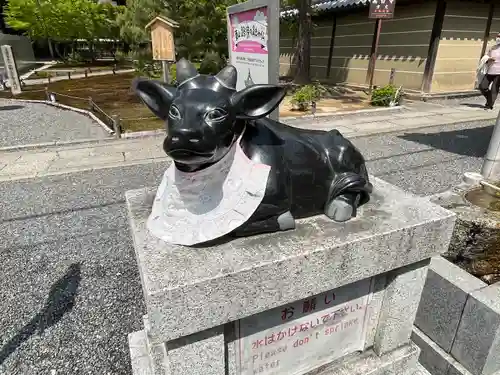 高台寺（高台寿聖禅寺・高臺寺）の狛犬