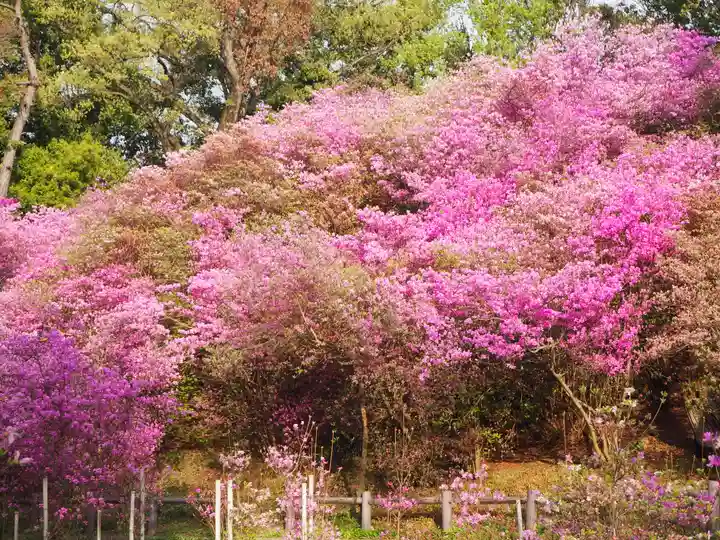 廣田神社の自然