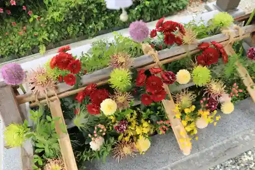 豊景神社の手水