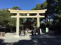 明治神宮の鳥居