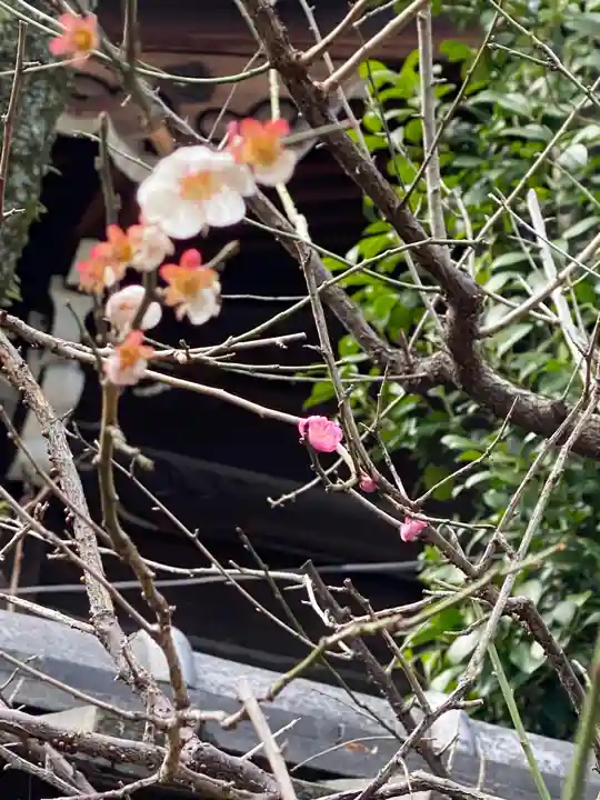 菅原院天満宮神社の自然