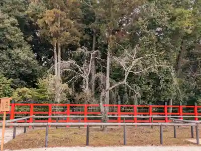 賀茂別雷神社（上賀茂神社）(京都府)