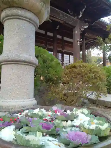 浄誓寺(大阪府)