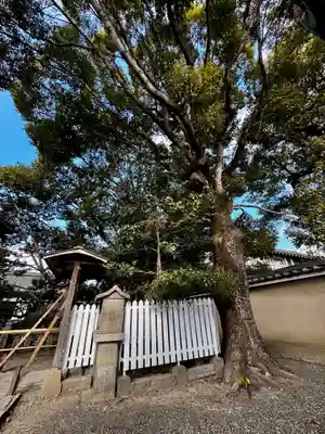 東寺（教王護国寺）(京都府)