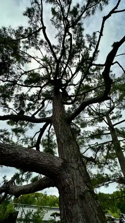法隆寺(奈良県)
