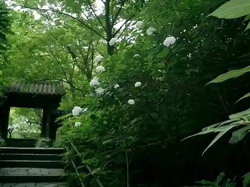 瑞泉寺のその他建物