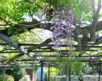 延命寺(愛知県)