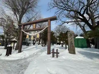 中の島神社の{uncategorized: "未分類", other: "その他", undefined: "問題あり", building: "その他建物", grave: "お墓", sacred_gate: "鳥居", guardian: "狛犬", statue: "像", buddha: "仏像", history: "歴史", nature: "自然", garden: "庭園", animal: "動物", pagoda: "塔", temizu: "手水舎", mountain_gate: "山門・神門", sanctuary: "本殿・本堂", subordinate: "末社・摂社", art: "芸術", scenery: "景色", jizo: "地蔵", ema: "絵馬", goshuin: "御朱印", omikuji: "おみくじ", items: "授与品その他", amulet: "お守り", goshuincho: "御朱印帳", eats: "食事", festival: "お祭り", votive_dance: "神楽", shichigosan: "七五三参", wedding: "結婚式", experience: "体験その他", initially: "初詣", around: "周辺", anti_infection: "感染症対策"}