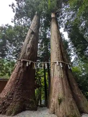 丹生川上神社（中社）(奈良県)