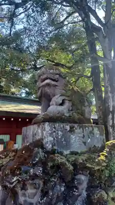 大國魂神社(東京都)