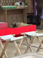 一宮神社(福岡県)