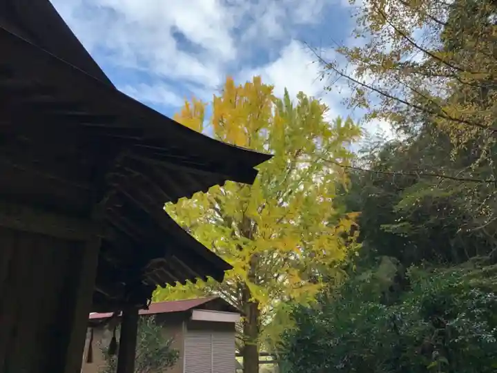 松尾神社の自然