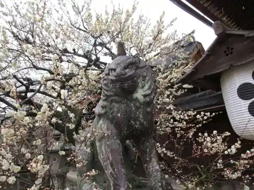 北野天満宮(京都府)