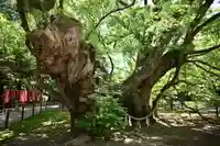 浜松八幡宮(静岡県)