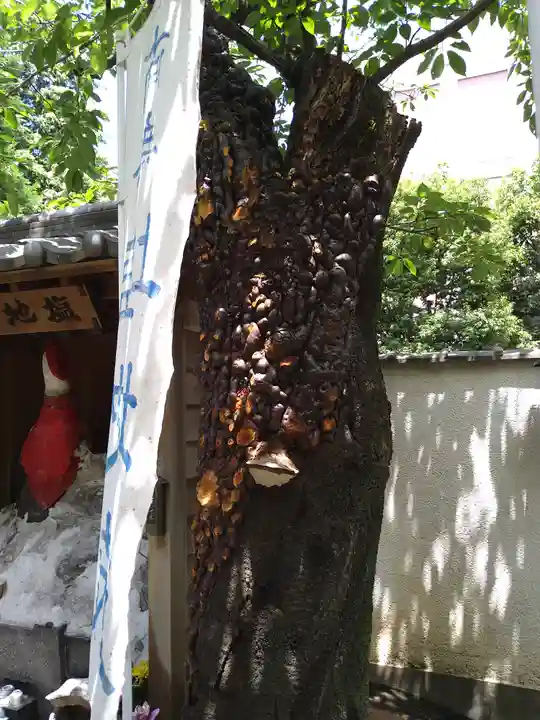 源覚寺(東京都)