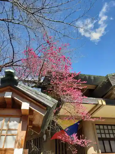 東郷神社(東京都)