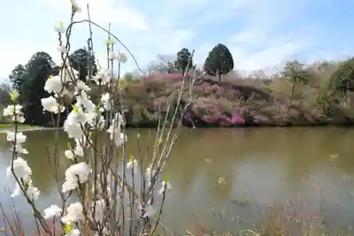 楞厳寺(京都府)