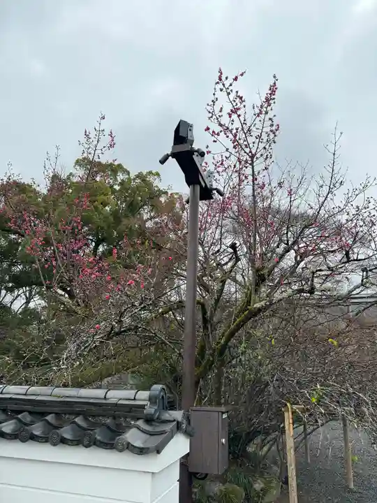 平等院(京都府)