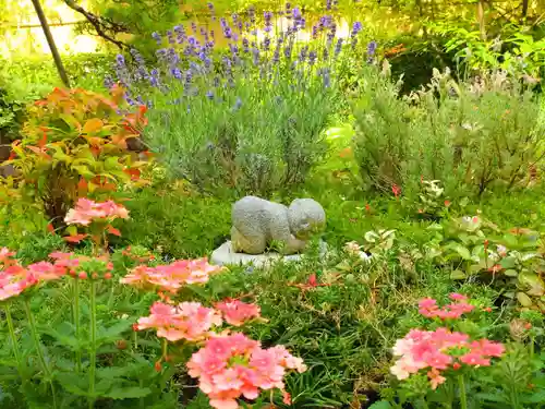 寿量山　速成寺(奈良県)