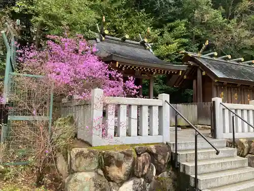 廣田神社(兵庫県)