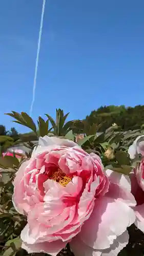 金蛇水神社(宮城県)
