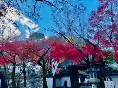 石山寺の建物その他