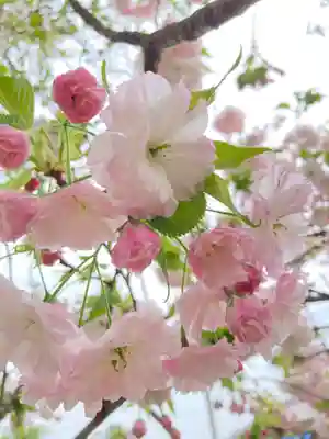 内外大神宮(茨城県)