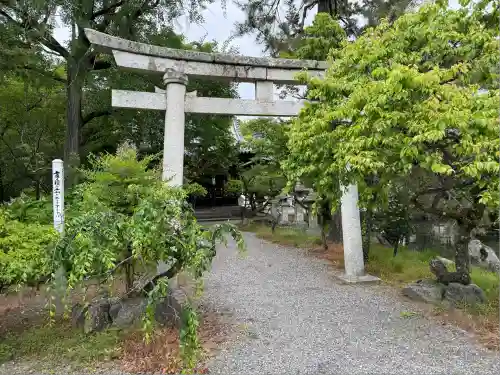 長浜八幡宮(滋賀県)