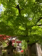 太融寺(大阪府)