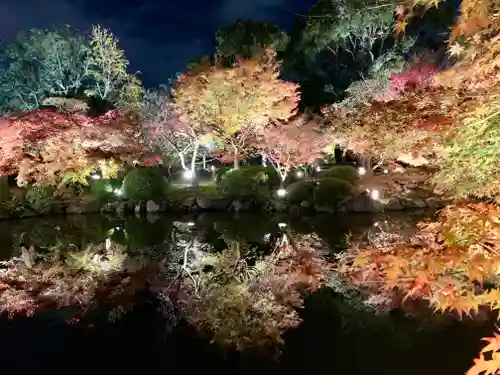 東寺（教王護国寺）の庭園