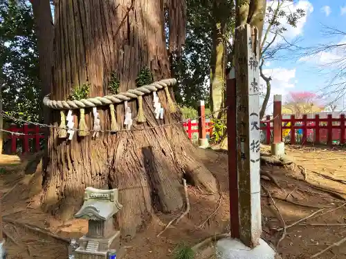 麻賀多神社奥宮の自然