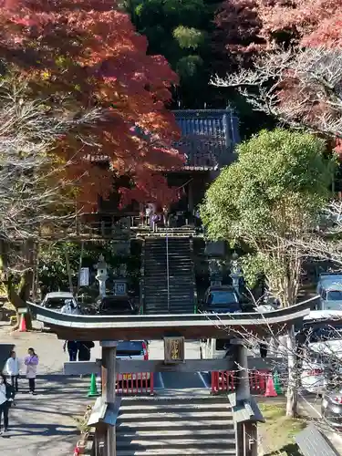 高尾山麓氷川神社のその他建物