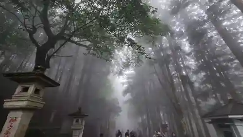 三峯神社(埼玉県)