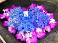 真言宗 善通寺派 薬王寺(香川県)