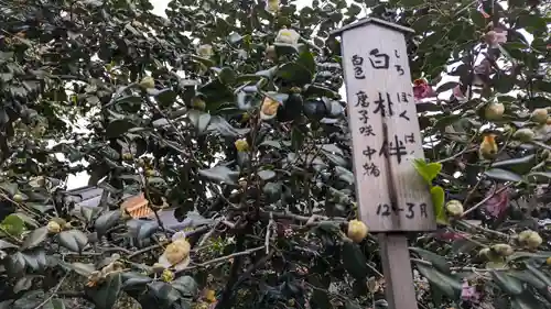 城南宮(京都府)