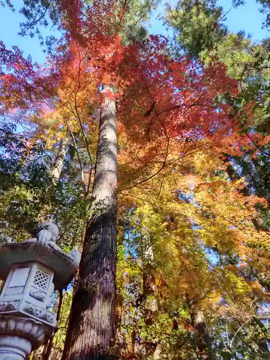 宝登山神社の自然