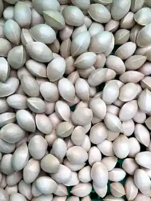 比々多神社(神奈川県)