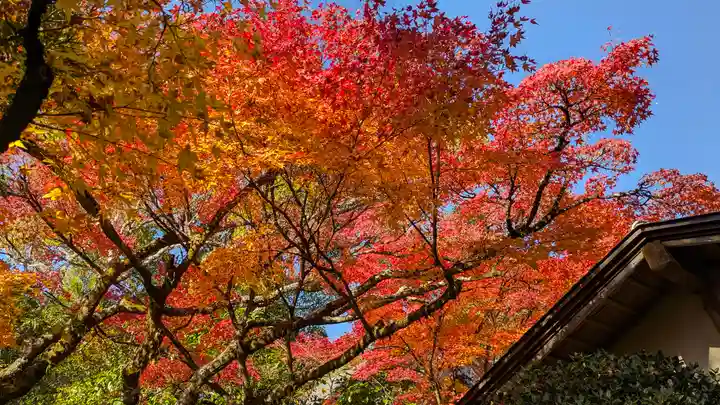 光悦寺(京都府)