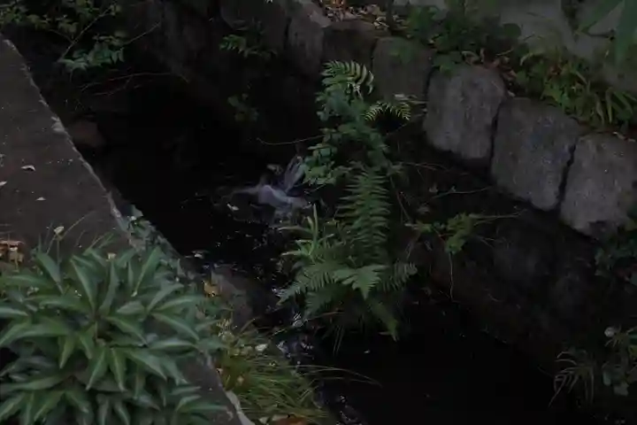 深大寺(東京都)