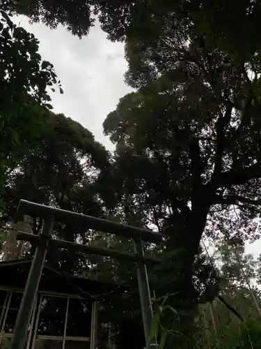 秋葉神社の鳥居