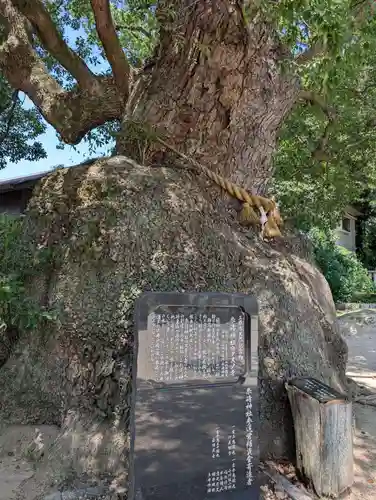 糸碕神社(広島県)