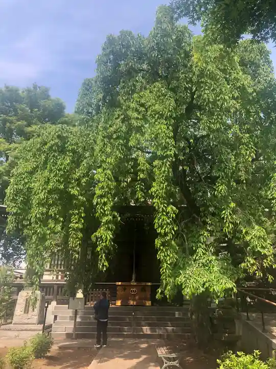 金蔵院(東京都)