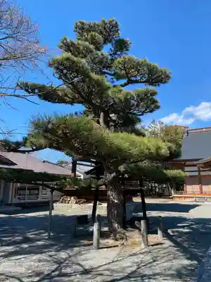 玉諸神社(山梨県)