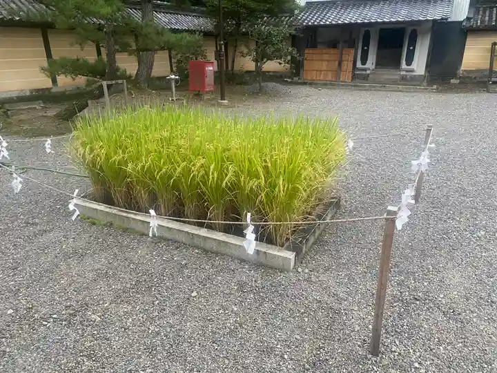 美濃國一宮 南宮大社(岐阜県)