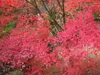 達身寺(兵庫県)