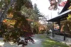 神峯山寺(大阪府)